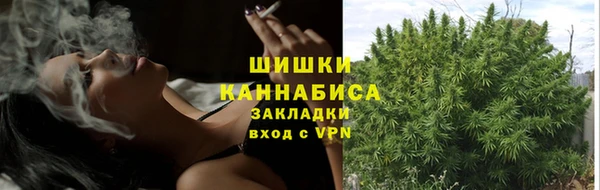 apvp Богородск