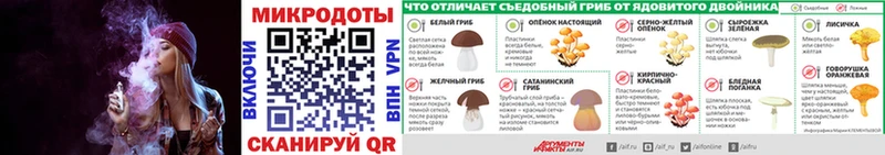 Купить закладки Зея Псилоцибиновые грибы Psilocybine cubensis