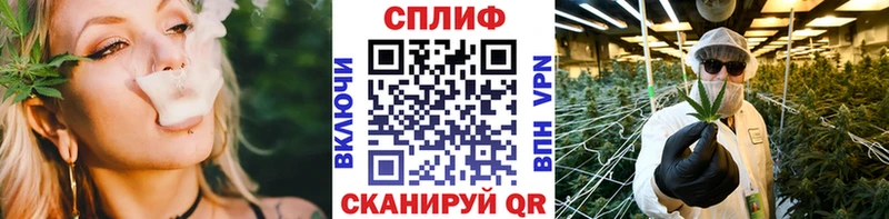Конопля тримм  Купить закладки  Зея 